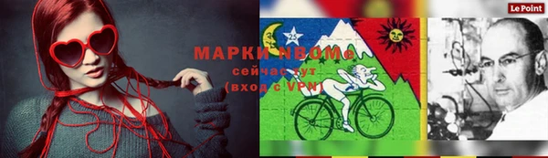 стаф Бородино