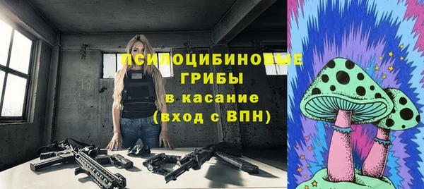 стаф Бородино