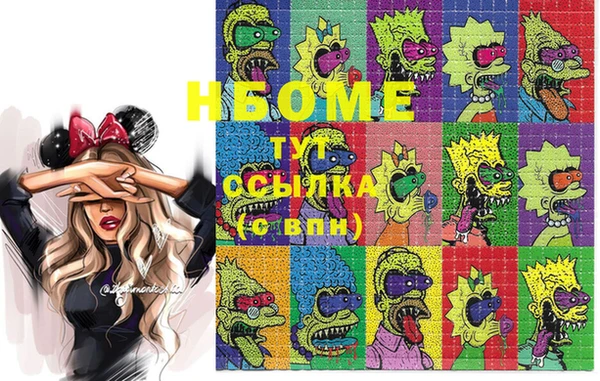 стаф Бородино
