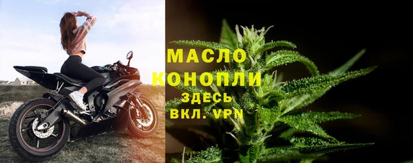 стаф Бородино